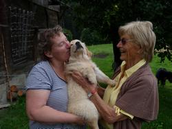 Clic pour agrandir l'image (1024x768 pixels; 112 KB)