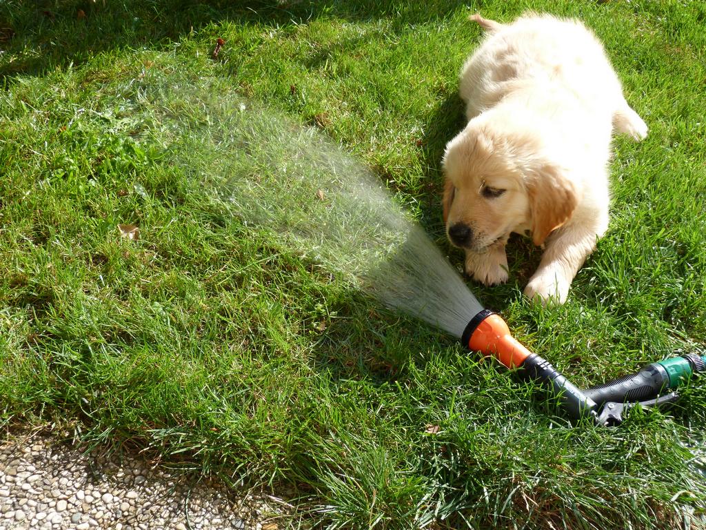 Clic pour l'image suivante