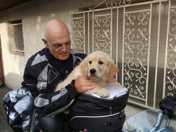 Clic pour agrandir l'image (1024x768 pixels; 123 KB)