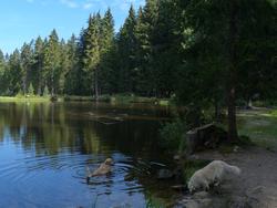 Clic pour agrandir l'image (1024x768 pixels; 119 KB)