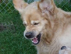 Clic pour agrandir l'image (901x676 pixels; 99 KB)