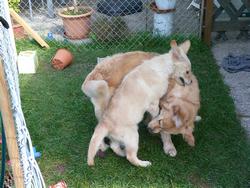 Clic pour agrandir l'image (1024x768 pixels; 195 KB)