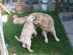 Clic pour agrandir l'image (1024x768 pixels; 195 KB)