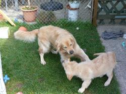 Clic pour agrandir l'image (1024x768 pixels; 206 KB)