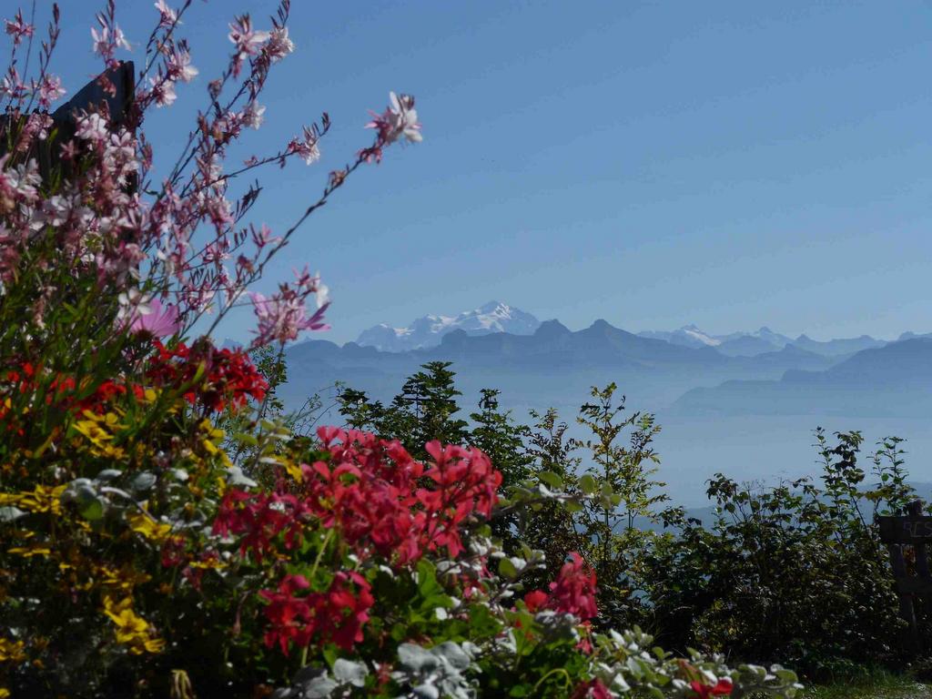 Clic pour l'image suivante