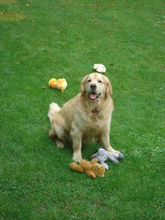 Clic pour l'image suivante