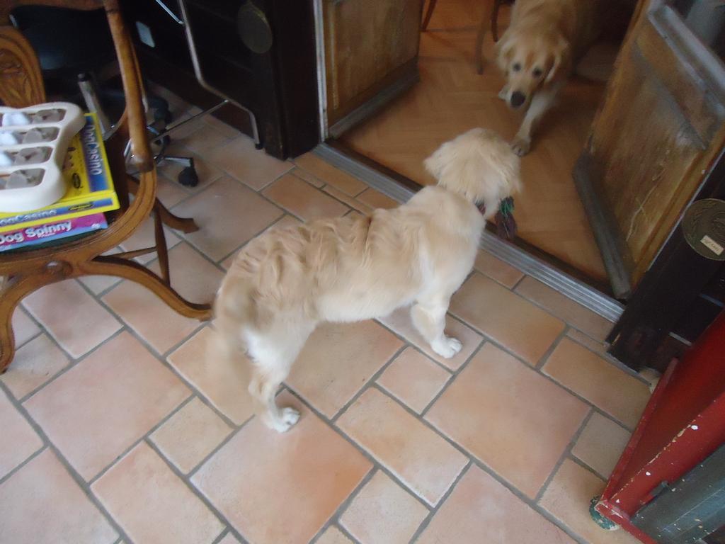 Clic pour l'image suivante