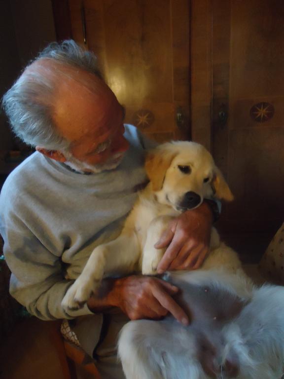 Clic pour l'image suivante