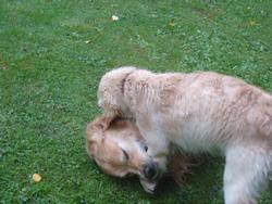 Clic pour agrandir l'image (1024x768 pixels; 134 KB)