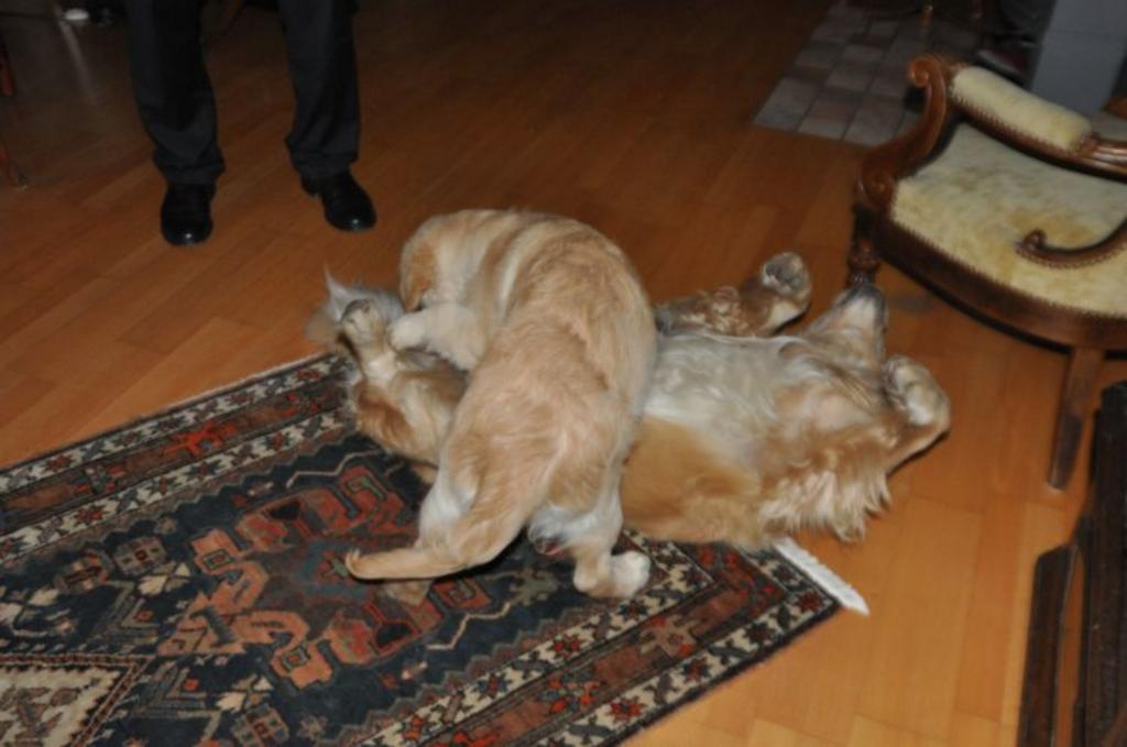 Clic pour l'image suivante