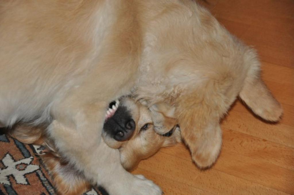 Clic pour l'image suivante