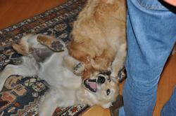 Clic pour agrandir l'image (1024x679 pixels; 82 KB)