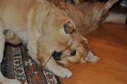 Clic pour agrandir l'image (1024x679 pixels; 64 KB)