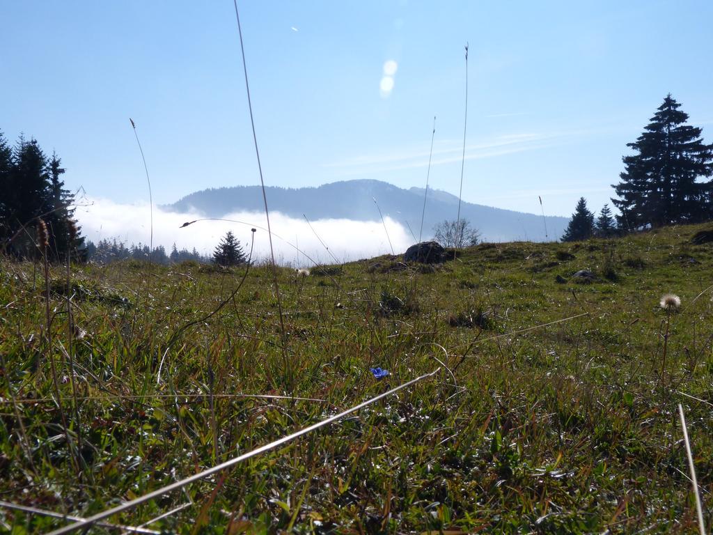 Clic pour l'image suivante