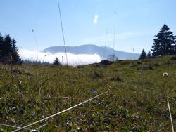 Clic pour agrandir l'image (1024x768 pixels; 146 KB)