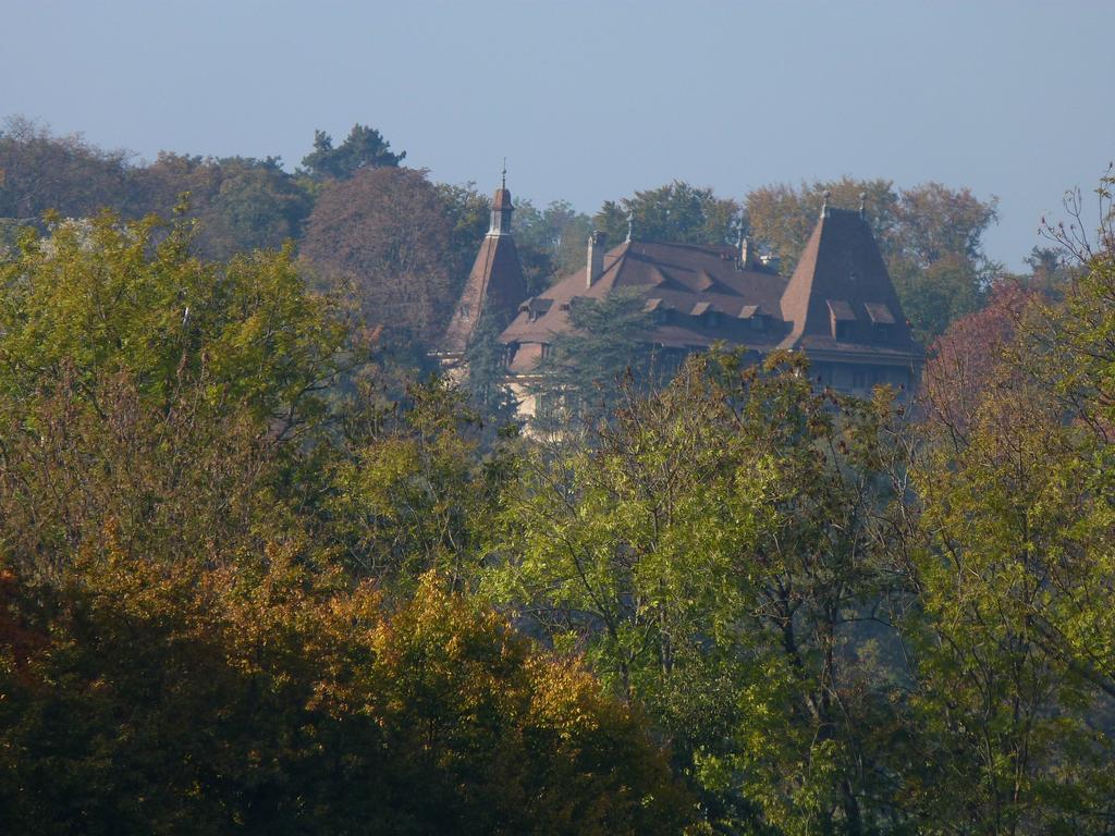 Clic pour l'image suivante