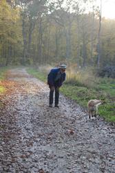 Clic pour agrandir l'image (514x768 pixels; 102 KB)