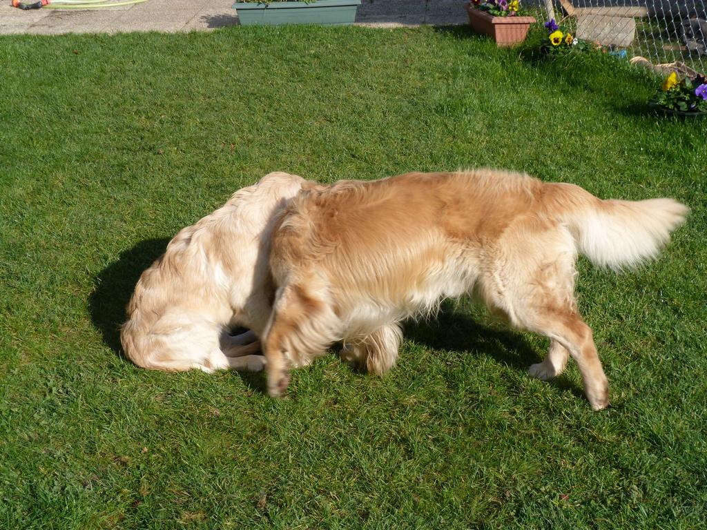 Clic pour l'image suivante