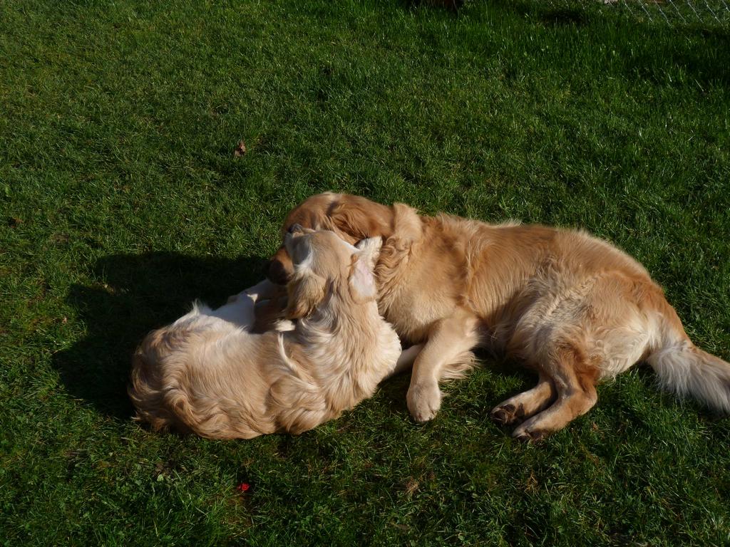 Clic pour l'image suivante