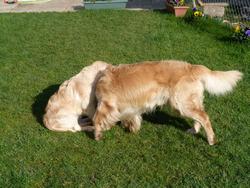 Clic pour agrandir l'image (1024x768 pixels; 209 KB)