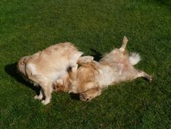 Clic pour agrandir l'image (1024x768 pixels; 177 KB)