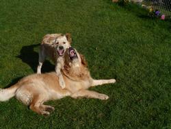 Clic pour agrandir l'image (1024x768 pixels; 190 KB)