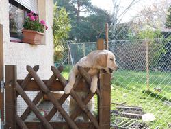 Clic pour agrandir l'image (1024x768 pixels; 198 KB)