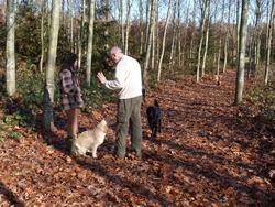 Clic pour agrandir l'image (1024x768 pixels; 248 KB)