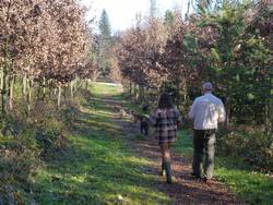 Clic pour agrandir l'image (1024x768 pixels; 242 KB)