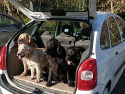 Clic pour agrandir l'image (1024x768 pixels; 136 KB)