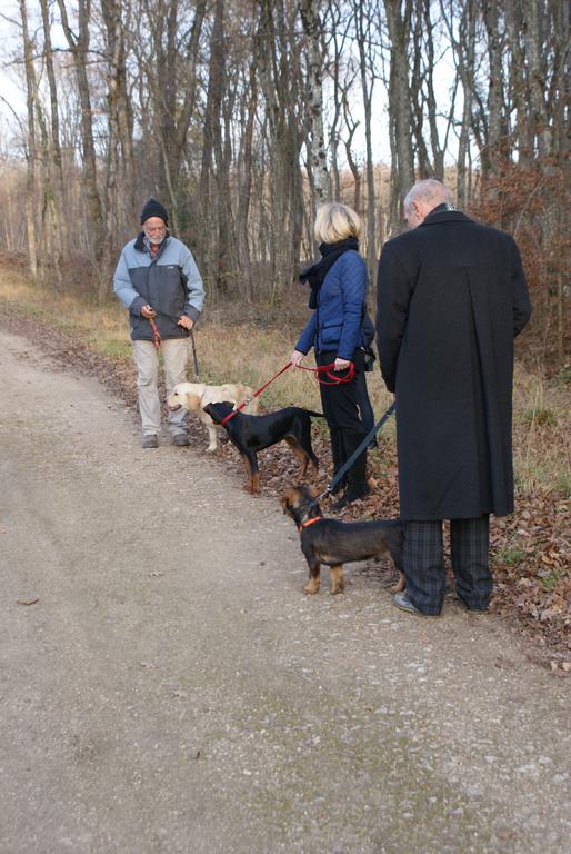 Clic pour l'image suivante