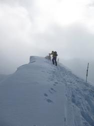 Clic pour agrandir l'image (576x768 pixels; 26 KB)