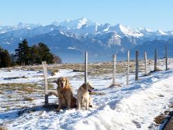 Clic pour agrandir l'image (1024x768 pixels; 132 KB)