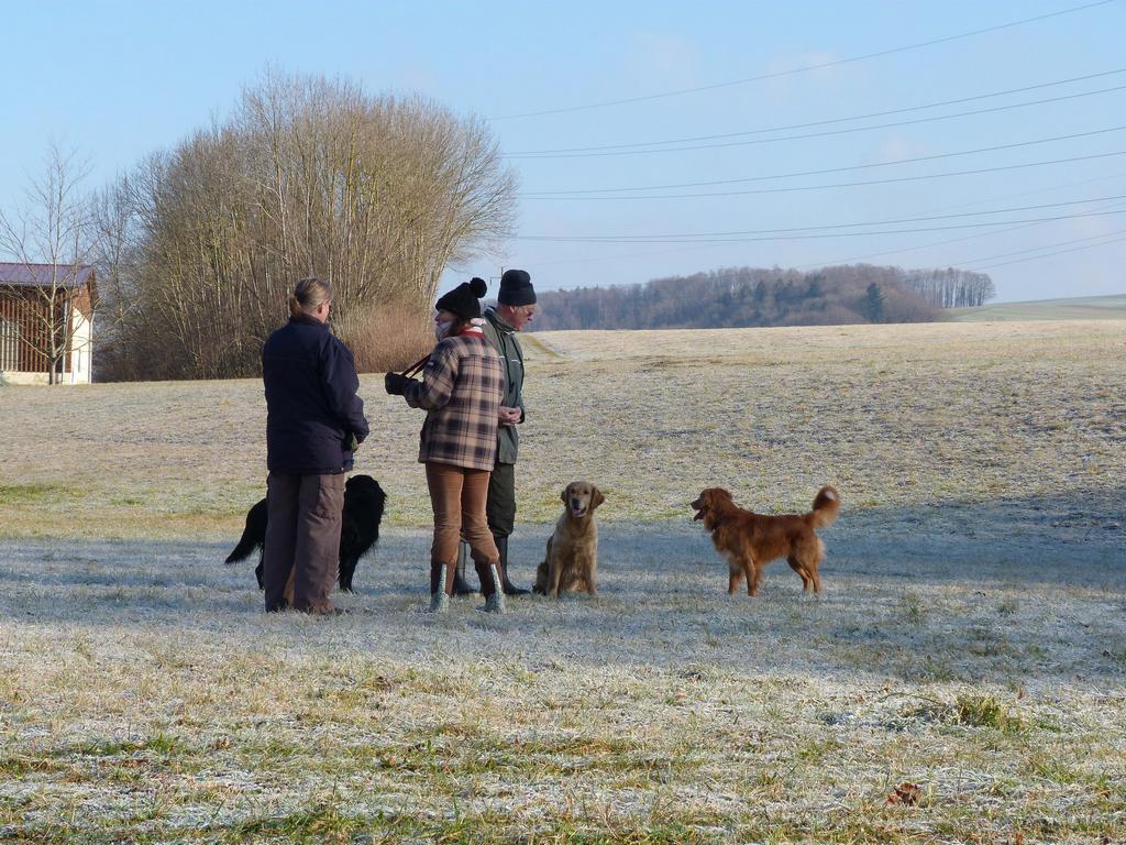 Clic pour l'image suivante