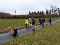 Clic pour agrandir l'image (1024x768 pixels; 131 KB)