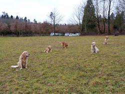 Clic pour agrandir l'image (1024x768 pixels; 200 KB)