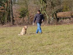 Clic pour agrandir l'image (1024x768 pixels; 253 KB)