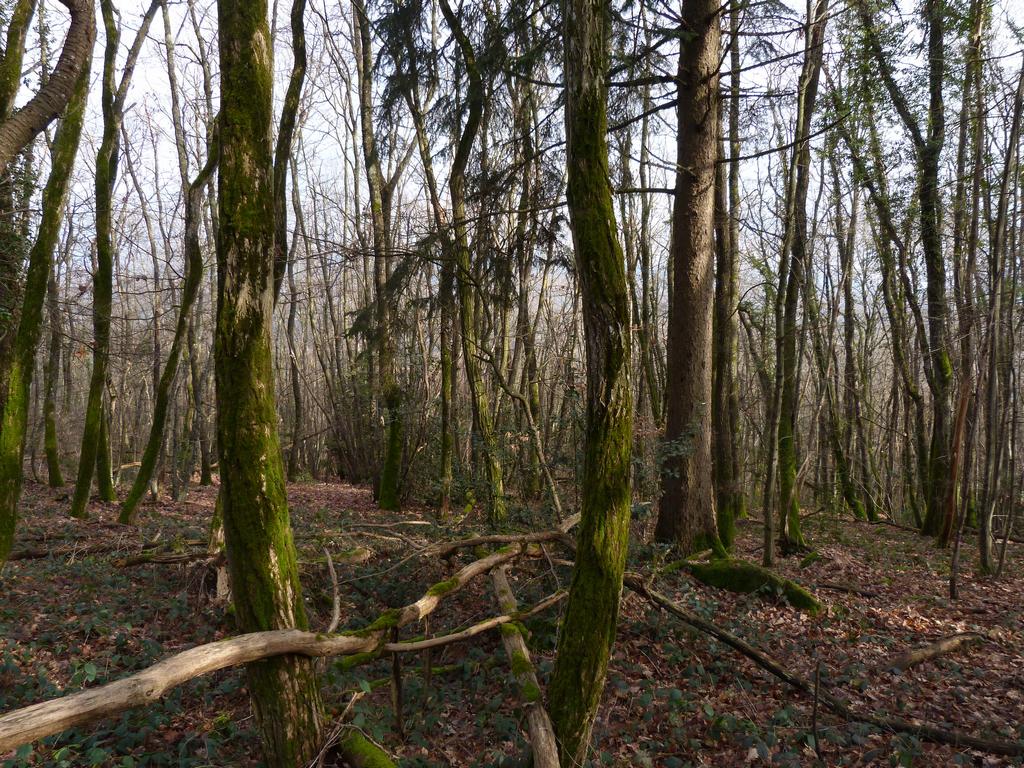 Clic pour l'image suivante