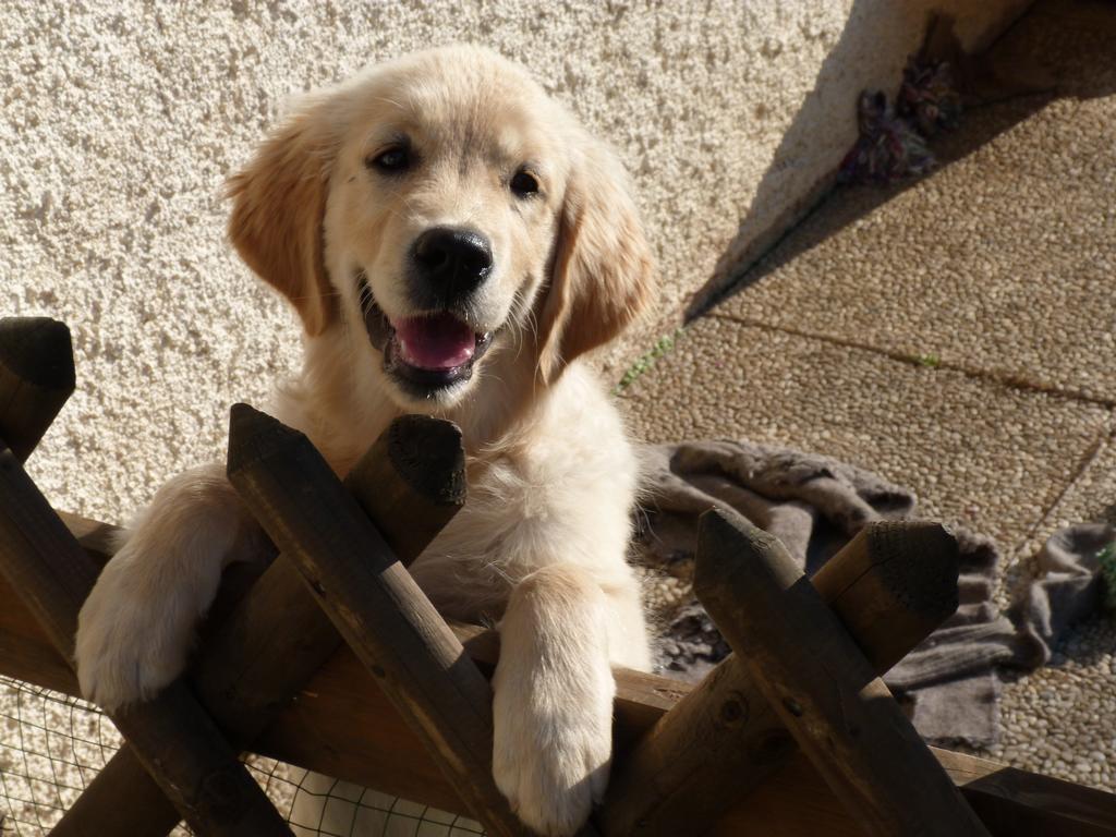 Clic pour l'image suivante