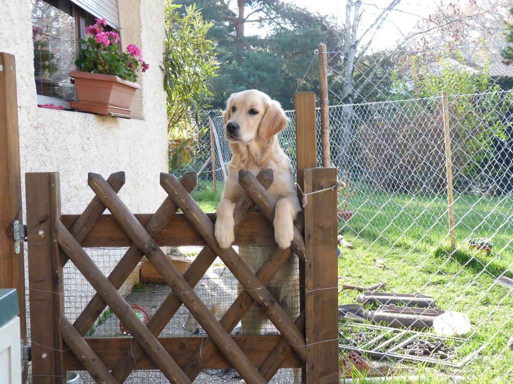 Clic pour l'image suivante