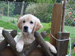 Clic pour agrandir l'image (1024x768 pixels; 171 KB)