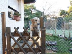 Clic pour agrandir l'image (1024x768 pixels; 174 KB)