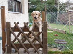 Clic pour agrandir l'image (1024x768 pixels; 201 KB)