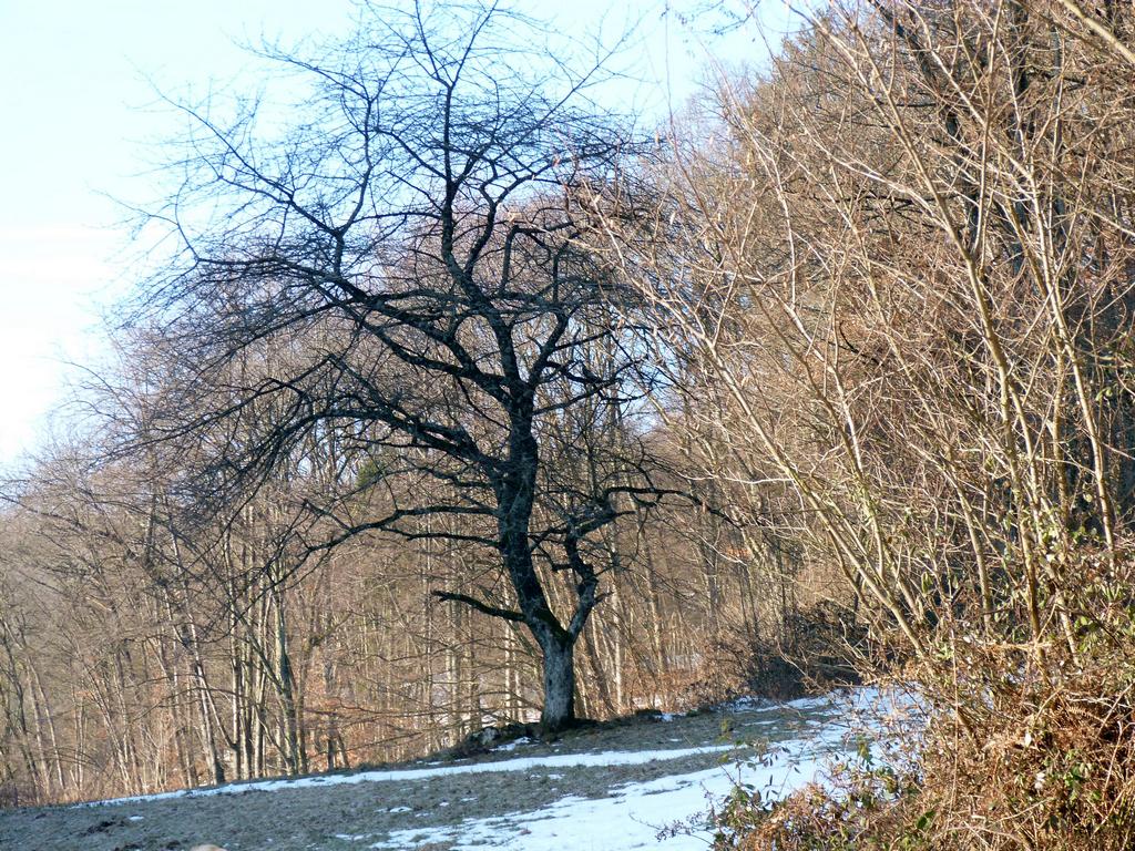 Clic pour l'image suivante