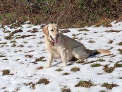 Clic pour agrandir l'image (1024x768 pixels; 188 KB)