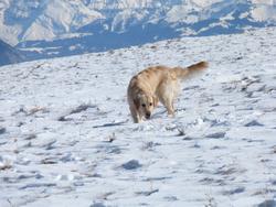 Clic pour agrandir l'image (1024x768 pixels; 122 KB)