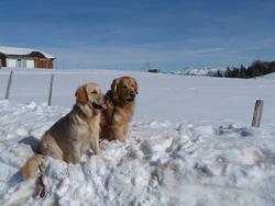 Clic pour agrandir l'image (1024x768 pixels; 77 KB)