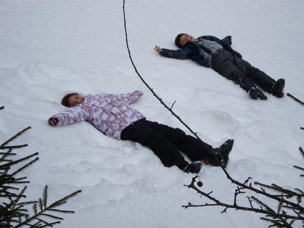 Clic pour l'image suivante