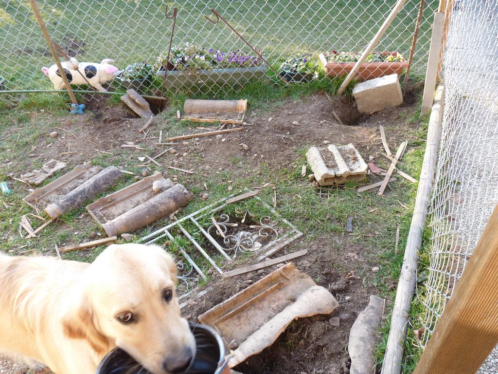 Clic pour l'image suivante