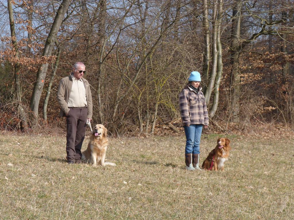 Clic pour l'image suivante